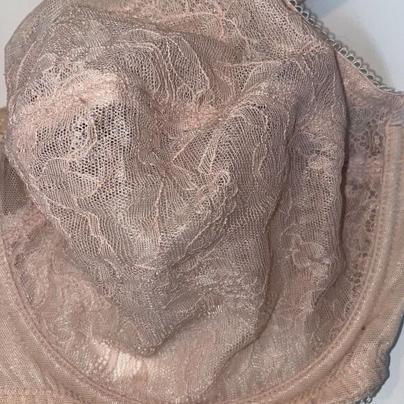 Wacoal | Retro Chic Full-Figure Underwire Bra Sz 38DD Beige/Nude Sheer - Picture 2 of 9